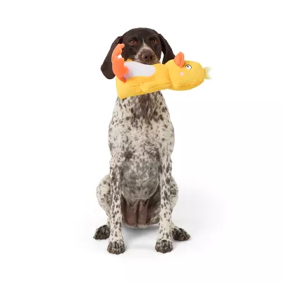 Product Joyhound Bite Shield Chick Squeaker Plush Dog Toy