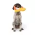 Joyhound® Bite Shield Chick Squeaker Plush Dog Toy image thumbnail 3