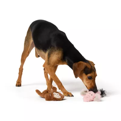 Product Joyhound Crazy Comfy Flattie Monkey and Elephant Squeaker Crinkle Plush Dog Toy
