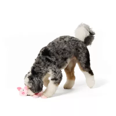Product Joyhound Crazy Comfy Flattie Pig Squeaker Crinkle Plush Dog Toy