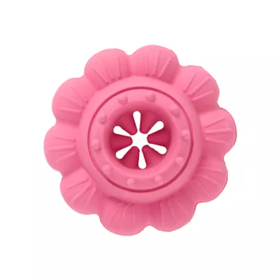 Product Joyhound Flower Bully Stick Treat Dispensing Dog Toy