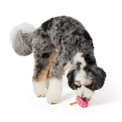 Product Joyhound Flower Bully Stick Treat Dispensing Dog Toy