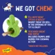 Product Joyhound Cactus Bully Stick Treat Dispensing Dog Toy