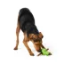 Joyhound® Cactus Bully Stick Treat Dispensing Dog Toy image thumbnail 3