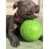 Jolly Pets 6" Soccer Ball Dog Toy image thumbnail 4