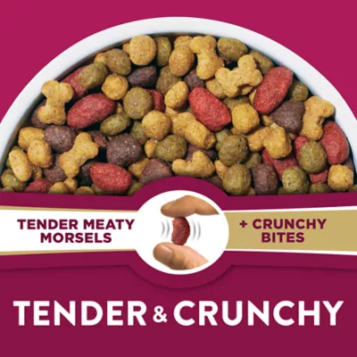 Product Purina Dog Chow Tender & Crunchy Dog Food Lamb and Turkey 30 LB