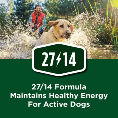 Product Purina Dog Chow High Protein Beef Dog Food