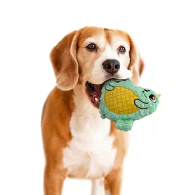 Product GMASON Double Monster Squeaker Crinkle Plush Dog Toy