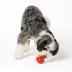 Joyhound® Pepper Treat Dispensing Dog Toy image thumbnail 3