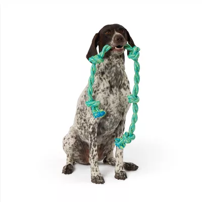 Product Joyhound 5-Knot Tug Rope Dog Toy