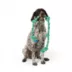 Joyhound® 5-Knot Tug Rope Dog Toy image thumbnail 3