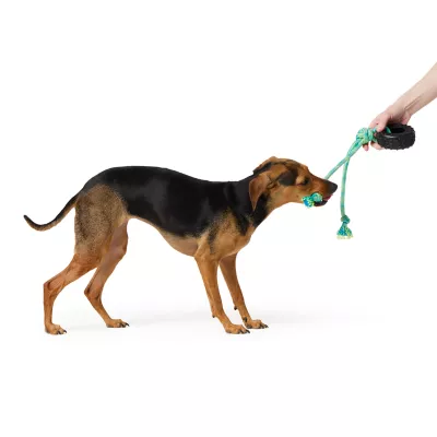 Product Joyhound® Tire Rope Dog Toy