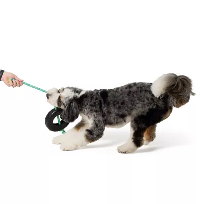 Joyhound® Tire Rope Dog Toy - Image 3