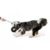 Joyhound® Tire Rope Dog Toy image thumbnail 3