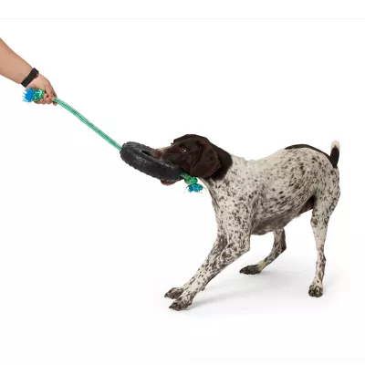 Product Joyhound® Tire Rope Dog Toy