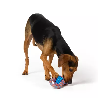 Product Joyhound Figure 8 Rope Dog Toy