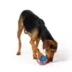 Joyhound® Figure 8 Rope Dog Toy image thumbnail 3