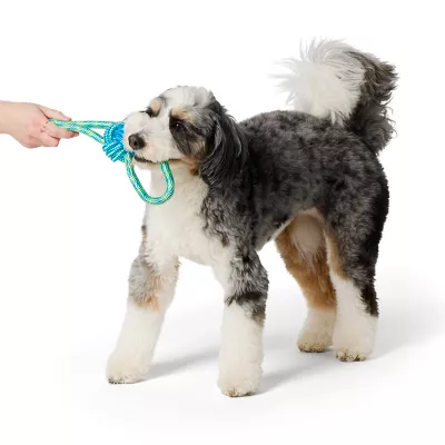 Product Joyhound Figure 8 Rope Dog Toy