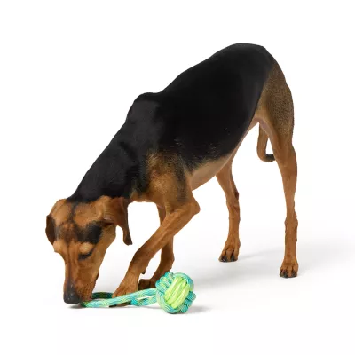 Product Joyhound Small Monkey Fist Rope Dog Toy