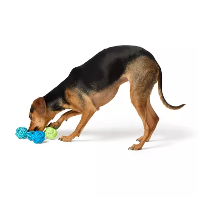Product Joyhound Monkey Fist 3-Knott Rope Dog Toy