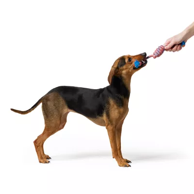 Product Joyhound 3-Knot Tug Rope Dog Toy
