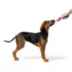Joyhound® 3-Knot Tug Rope Dog Toy image thumbnail 3