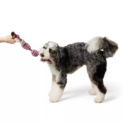 Product Joyhound Two Bone Tug Rope Dog Toy