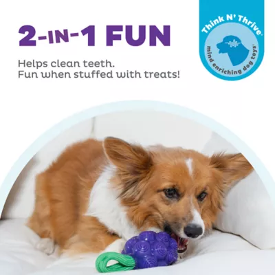 Product Outward Hound Dental Grapes Treat Stuffer Chew Dog Toy