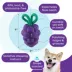 Outward Hound Dental Grapes Treat Stuffer Chew Dog Toy image thumbnail 3