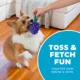Product Outward Hound Dental Grapes Treat Stuffer Chew Dog Toy