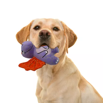 Product GMASON Pterodactyl Squeaker Crinkle Plush Dog Toy