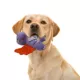 Product GMASON Pterodactyl Squeaker Crinkle Plush Dog Toy