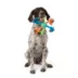 Joyhound® Multi Strand Ball Rope Dog Toy image thumbnail 3