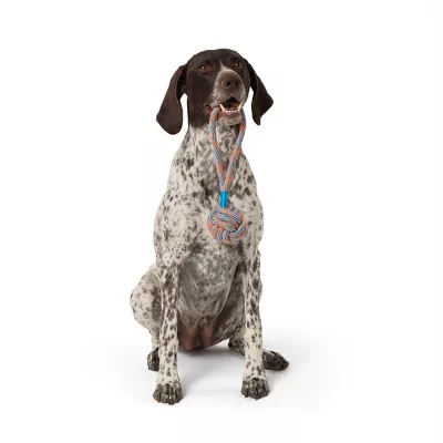 Product Joyhound® Monkey Fist Rope Dog Toy