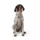 Product Joyhound® Monkey Fist Rope Dog Toy