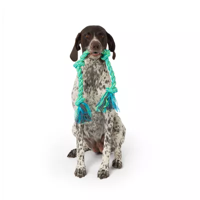 Product Joyhound® 4-Knot Rope Dog Toy