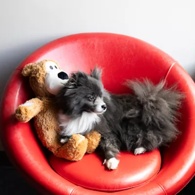 Product  KONG® Wild Knots Bear Squeaker Plush Dog Toy