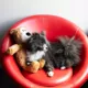 Product  KONG® Wild Knots Bear Squeaker Plush Dog Toy