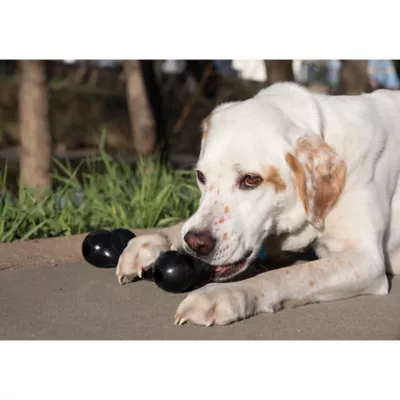 Product KONG Extreme Goodie Bone Dog Toy