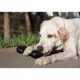 Product KONG Extreme Goodie Bone Dog Toy
