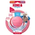  KONG® Puppy Flyer Dog Toy image thumbnail 10
