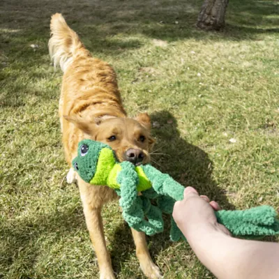 Product KONG Knots Frog Squeaker Dog Toy