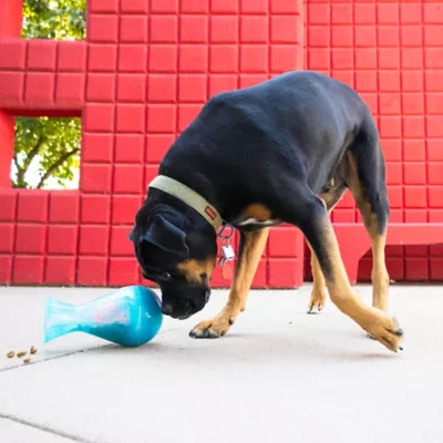 Product  KONG® Rewards Tipsy Treat Dispenser Dog Toy