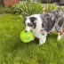  KONG® FlexBall Dog Toy image thumbnail 2