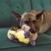  KONG® Comfort Tykes Gosling Squeaker Plush Dog Toy image thumbnail 2