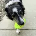  KONG® Reflex Football Dog Toy image thumbnail 2