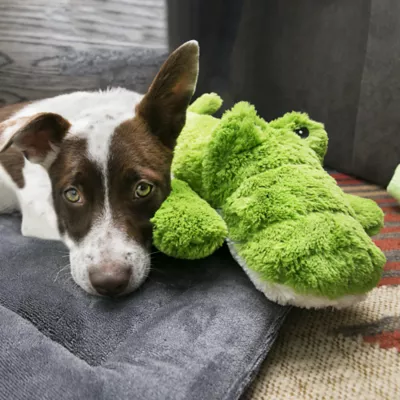 Product KONG Cozie Ali the Alligator Squeaker Plush Dog Toy