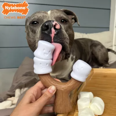Product Nylabone Chew Marshmallow Stick Dog Toy