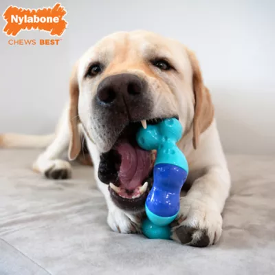 Product Nylabone Chew Twisty Dog Toy