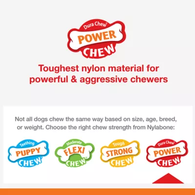 Product Nylabone Chew Twisty Dog Toy